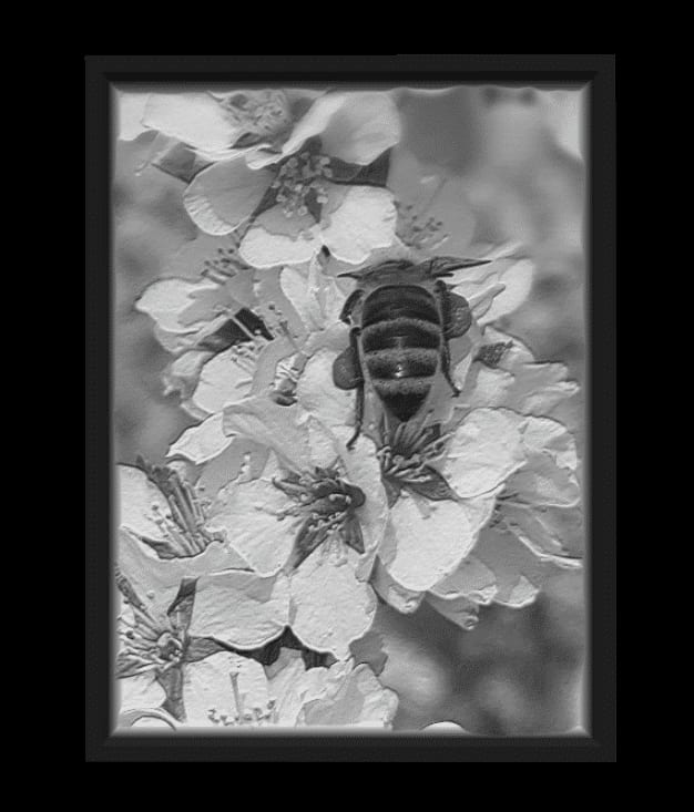 3D-Druck Lithophane flach - flaches Fotorelief als Geschenk